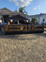 Snapchat 1912652927 1734234293 The Original Mechanical Bull